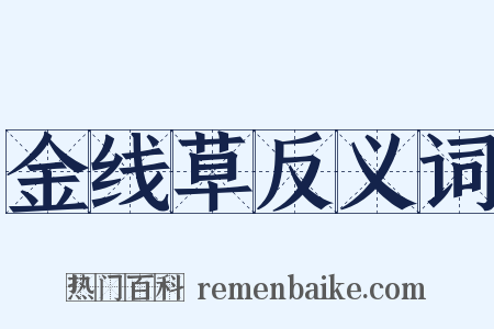 金线草反义词是什么意思的图片